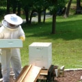 Participating in Online Forums and Communities: A Comprehensive Guide for Beekeeping Education