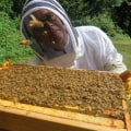 Budgeting and Financial Planning for Starting a Beekeeping Business