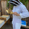 Obtaining Necessary Permits and Licenses for Your Beekeeping Business