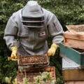 Tracking Hive Health and Productivity: A Comprehensive Guide for Beekeepers