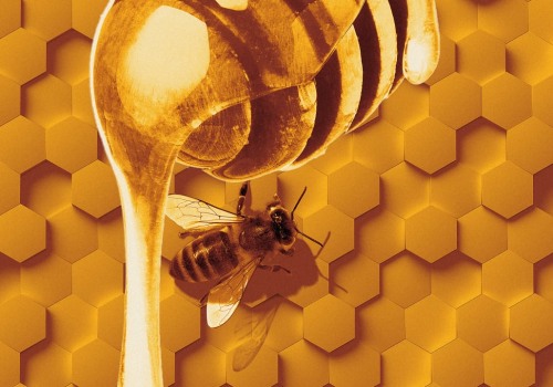 Processing and Storing Honey: Everything You Need to Know