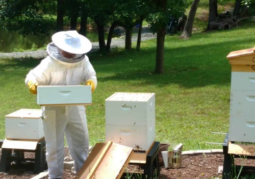 Keeping Records of Hive Inspections and Treatments: A Comprehensive Guide for Beekeepers