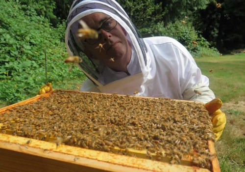 The Buzz on Making Beeswax Products: A Guide to Bee Farming and Honey Production