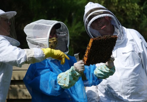 Organizing Your Financial Records for Successful Beekeeping